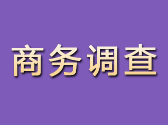 市中商务调查